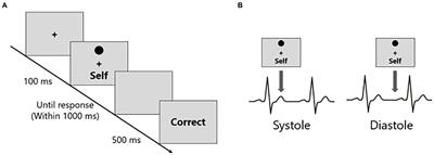 Impact of Cardiac Interoception on the Self-Prioritization Effect